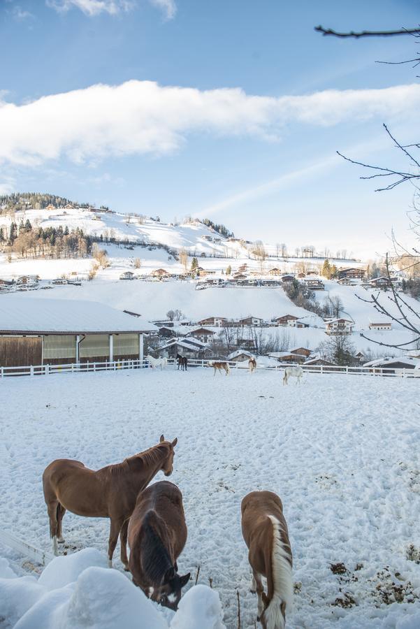 Hotel & Alpin Lodge Der Wastlhof Niederau Zewnętrze zdjęcie